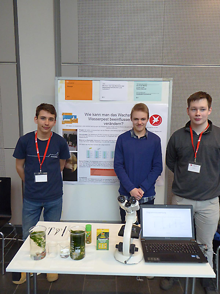 Nural Müller, Robert Mainzer, Linus Curdt: Biologie, 3. Preis Schüler experimentieren